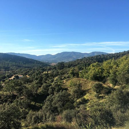 Appartement Neuf, 2 Chambres, Terrasse Plein Sud A Sainte-Maxime Kültér fotó